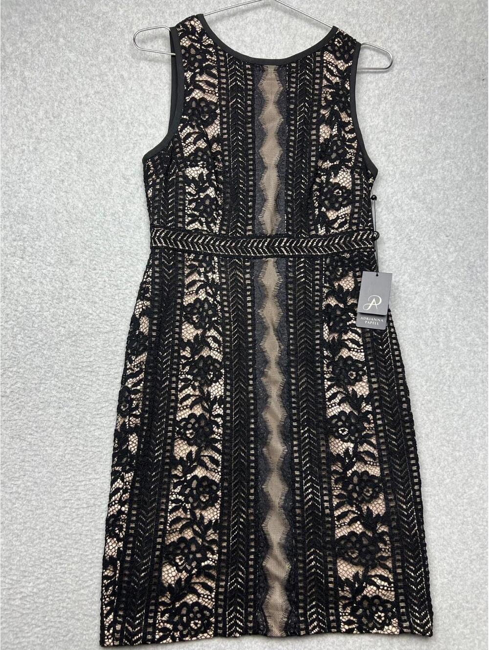 Adrianna Papell Sleeveless Sheer Lace Sheath Dress Petite 6P Elegant Romantic